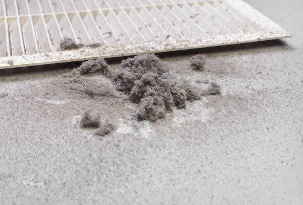 Best Affordable Air Duct Cleaning  in Gramercy, LA