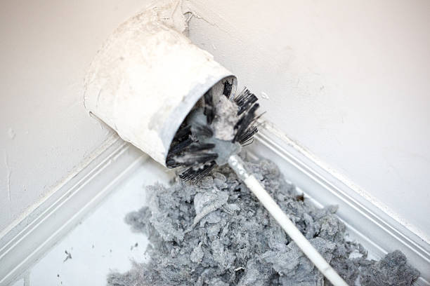 Best Home Air Vent Cleaning  in Gramercy, LA